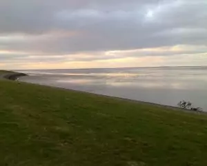 menschenleerer grüner Strand in Ostbense