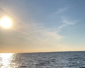 Blick aufs Meer bei Abendsonne