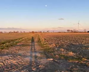 Blick über ein Feld im Sonnenuntergang mit Schatten eines Menschen und Mond am Himmel