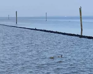 Blick auf die Fahrrinne zu Insel Wangerooge