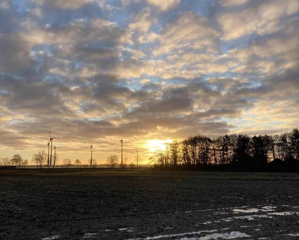 Sonnenuntergang über einem Acker in Ostfriesland und im Hintergrund Windräder
