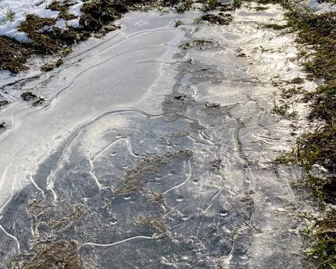 gefrorene Pfütze auf einem Feldweg mit leichten Sonnenreflexen
