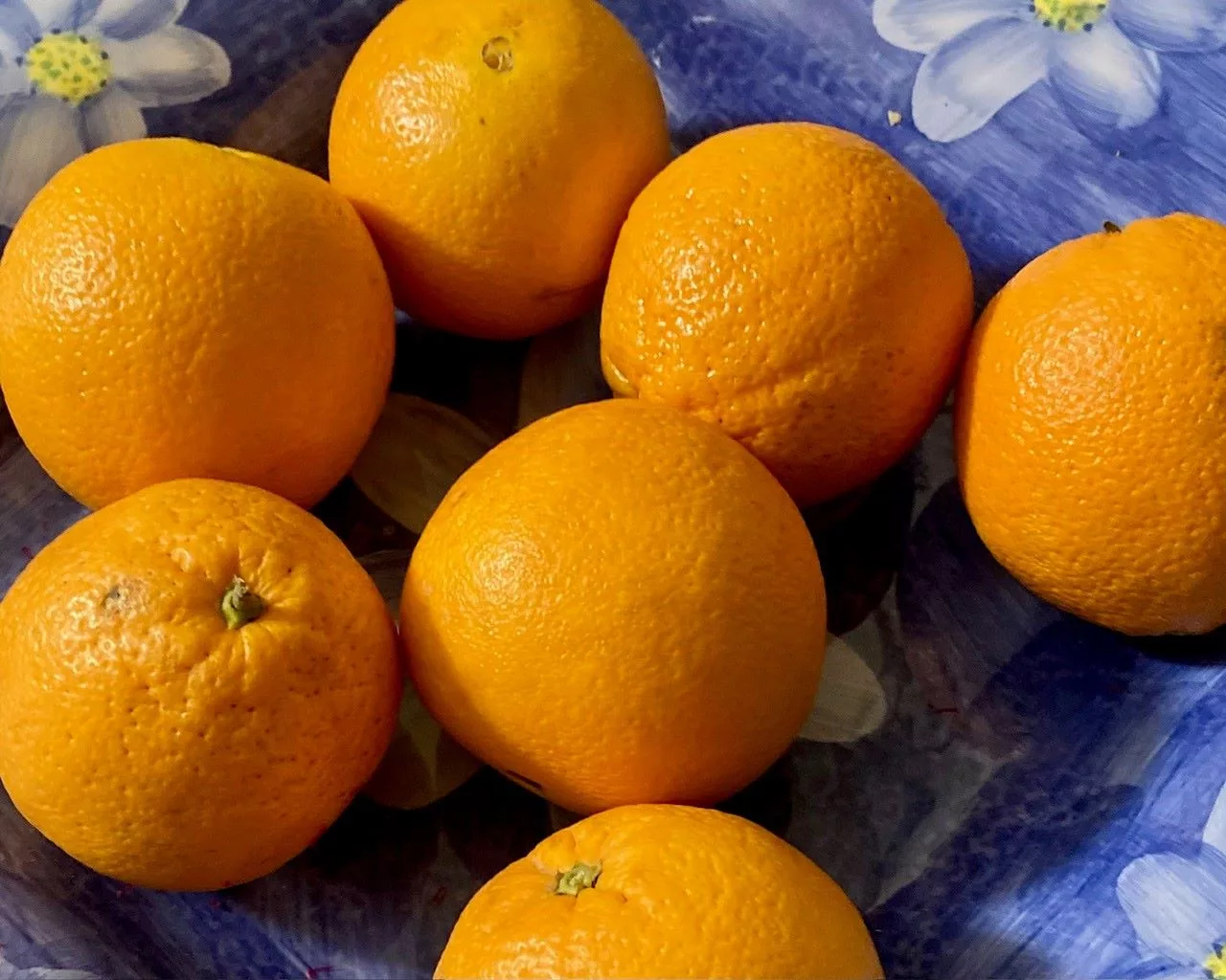 Orangen in blauer Schüssel