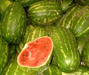 Wassermelonen
